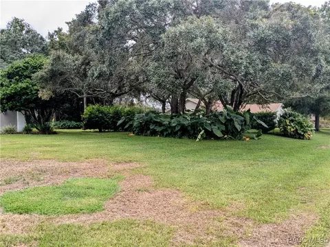 Exterior - 168 E Hartford St, Hernando, FL 34442 photo 8 of 21