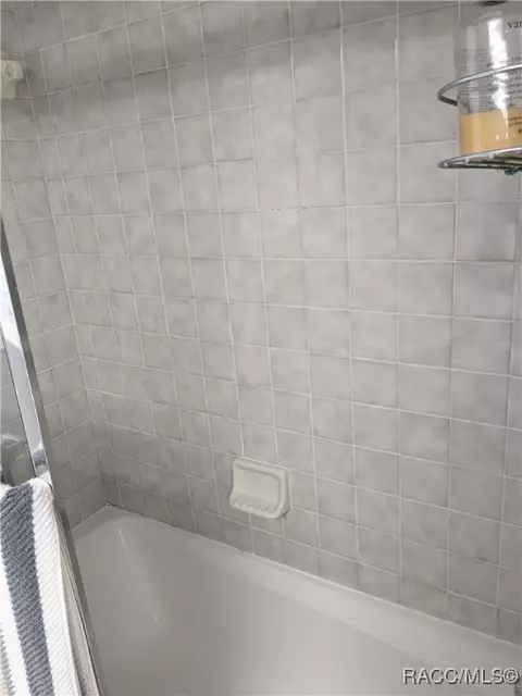 Bath - 168 E Hartford St, Hernando, FL 34442 photo 6 of 6