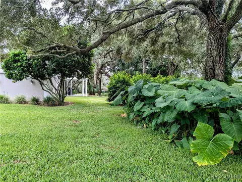 Exterior - 168 E Hartford St, Hernando, FL 34442 photo 12 of 21