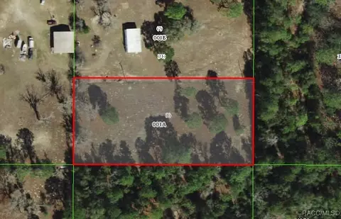 1458 N Popcorn Pt, Inverness, FL 34453