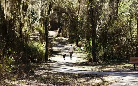 Other - 1527 N Killebrew Pt, Hernando, FL 34442 photo 18 of 18
