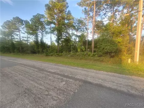 7211 N Fountainhead Dr, Citrus Springs, FL 34433