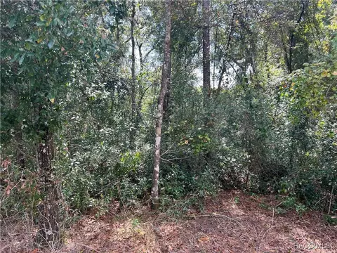 221 Hofstra St, Inverness, FL 34452