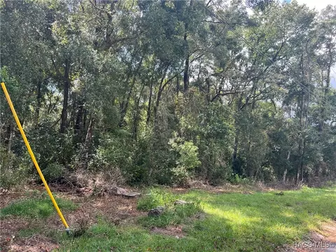 217 Hofstra St, Inverness, FL 34452