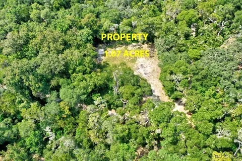 10848 E Carr Ln, Inverness, FL 34450