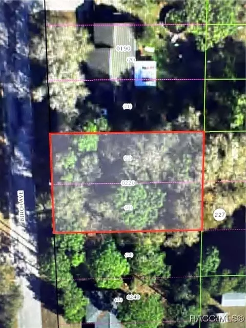 932 Birch Ave, Inverness, FL 34452