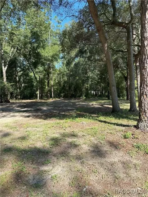 1947 W Albury Pl, Citrus Springs, FL 34434