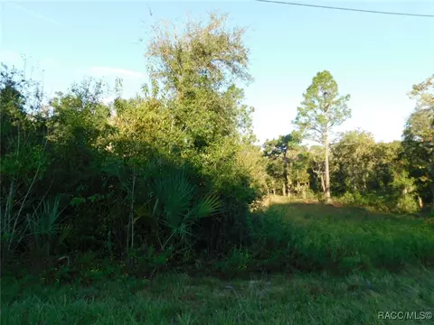 11708 N Belluzzi Ter, Dunnellon, FL 34433