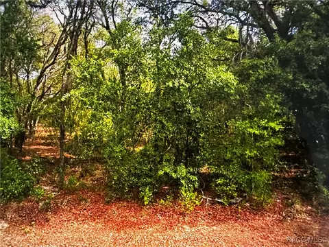 273 W Massachusetts St, Hernando, FL 34442