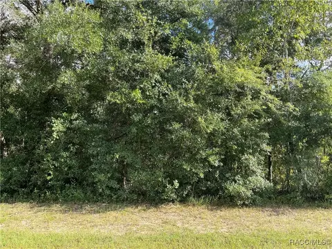 1736 W Hall Pl, Citrus Springs, FL 34434