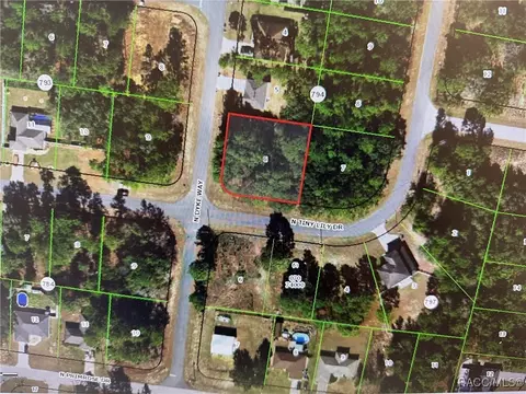 7968 N Tiny Lily Dr, Citrus Springs, FL 34434