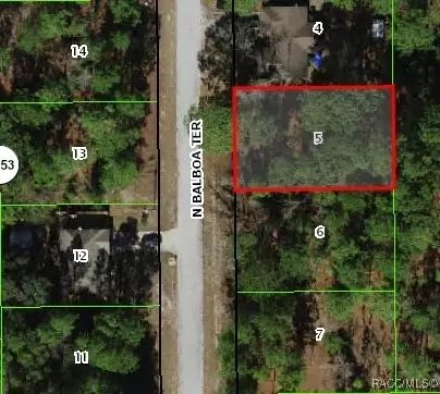 11125 N Balboa Ter, Citrus Springs, FL 34433