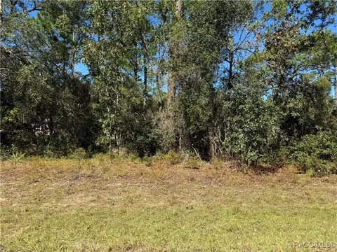 3671 W Galtonia Ln, Citrus Springs, FL 34433