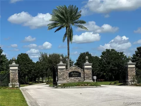 Other - 1329 N Bellamy Pt, Hernando, FL 34442 photo 25 of 25