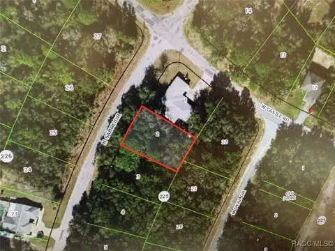 10241 N Sabre Dr, Citrus Springs, FL 34434