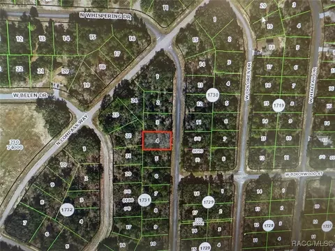 6410 W Whispering Dr, Dunnellon, FL 34434