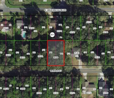 206 Temple St, Inverness, FL 34452