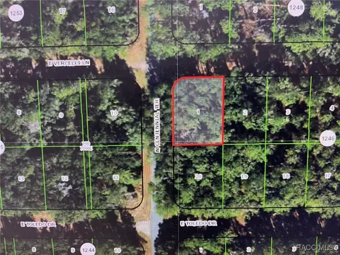 970 E Vercelli Ln, Citrus Springs, FL 34434