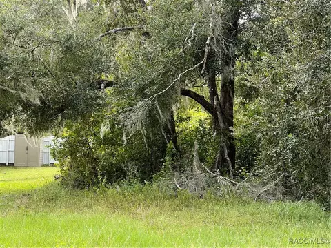 3014 E Brigadoon Ct, Hernando, FL 34442 photo 20