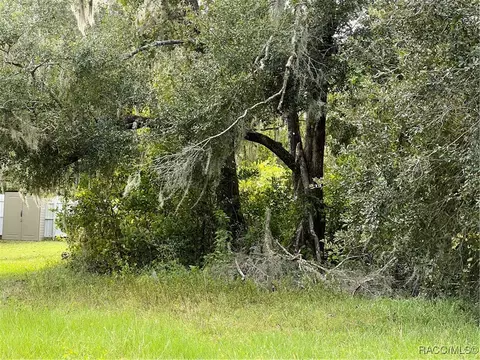 3014 E Brigadoon Ct, Hernando, FL 34442 photo 21