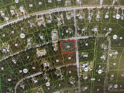 4648 W Horseshoe Dr, Beverly Hills, FL 34465