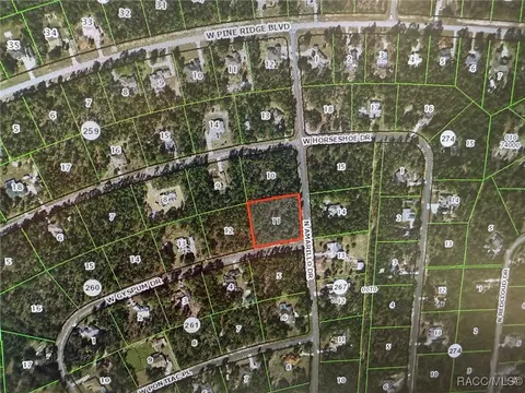 4617 W Gypsum Dr, Beverly Hills, FL 34465