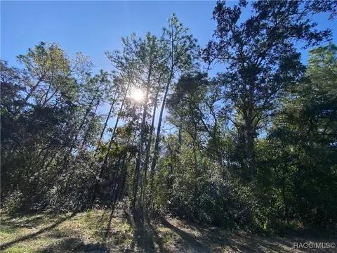 3042 W Falcon Ct, Lecanto, FL 34461