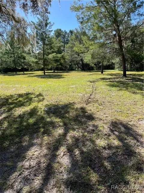 1690 E Knollwood Ln, Hernando, FL 34442 photo 4