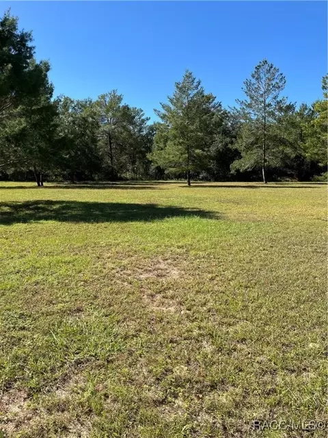 1690 E Knollwood Ln, Hernando, FL 34442 photo 9