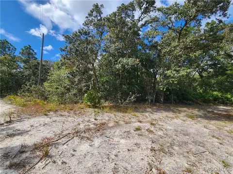 7399 W Edwardian St, Dunnellon, FL 34433