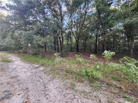 1906 Addison St, Inverness, FL 34453