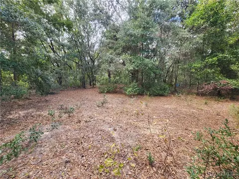 8630 N Catapane Loop, Crystal River, FL 34428 photo 10