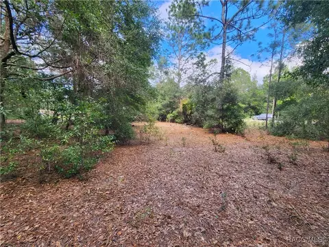 8630 N Catapane Loop, Crystal River, FL 34428 photo 5