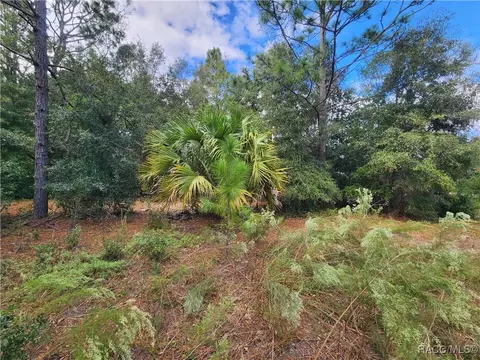 8630 N Catapane Loop, Crystal River, FL 34428 photo 11