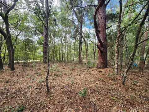 8630 N Catapane Loop, Crystal River, FL 34428 photo 8