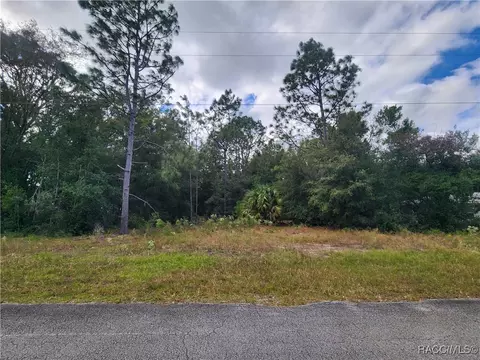 8630 N Catapane Loop, Crystal River, FL 34428 photo 3