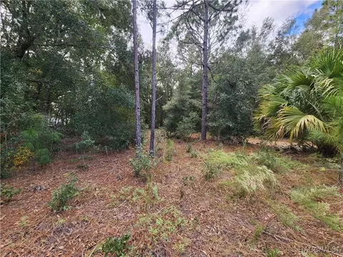 8630 N Catapane Loop, Crystal River, FL 34428 photo 9