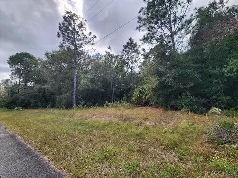 8630 N Catapane Loop, Crystal River, FL 34428 photo 2