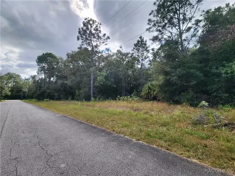 8630 N Catapane Loop, Crystal River, FL 34428 photo 4