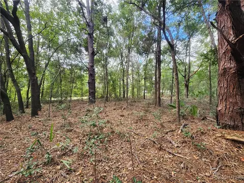 8630 N Catapane Loop, Crystal River, FL 34428 photo 7