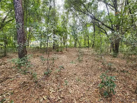 8630 N Catapane Loop, Crystal River, FL 34428 photo 6