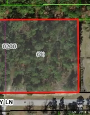 4213 Pansy Ln, Beverly Hills, FL 34465