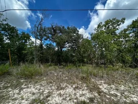 6286 N Bedstrow Blvd, Citrus Springs, FL 34434