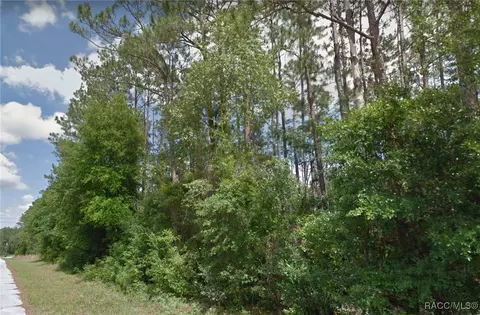 1974 W Ranch Dr, Citrus Springs, FL 34434