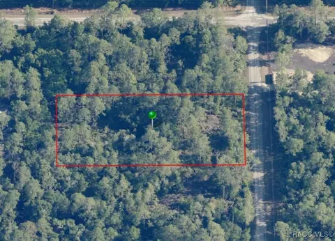 9156 N Cavewood Ave, Crystal River, FL 34428