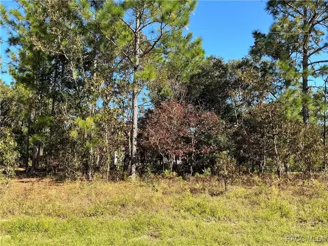 2453 W Newhope Ln, Dunnellon, FL 34434