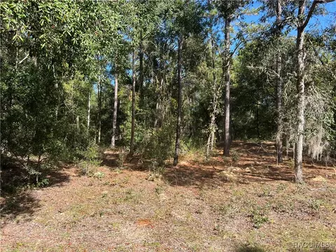 803 E Panama Dr, Dunnellon, FL 34434