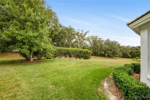 Exterior - 253 W Doerr Path, Hernando, FL 34442 photo 10 of 15