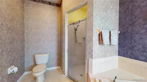Bath - 253 W Doerr Path, Hernando, FL 34442 photo 2 of 3