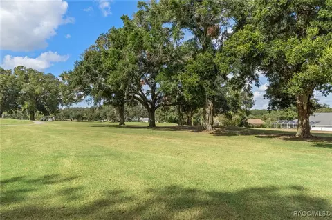 Exterior - 409 E Dakota Ct, Hernando, FL 34442 photo 15 of 21